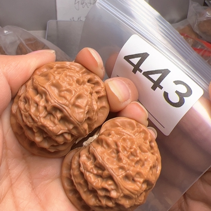 核桃443号41尺全品宫灯