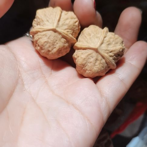 猴头核桃吊坠28三棱