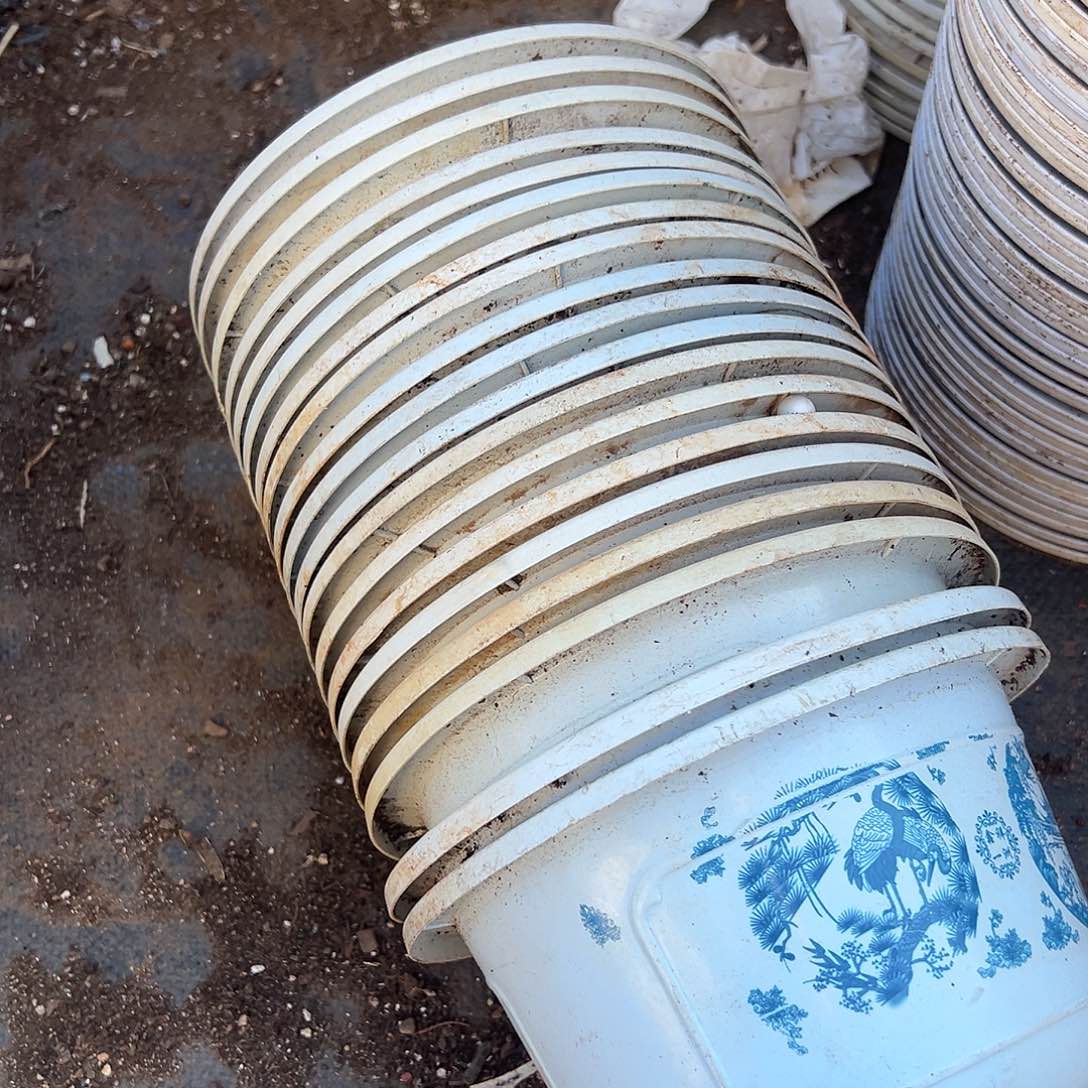 塑料富贵花开口径18发18个