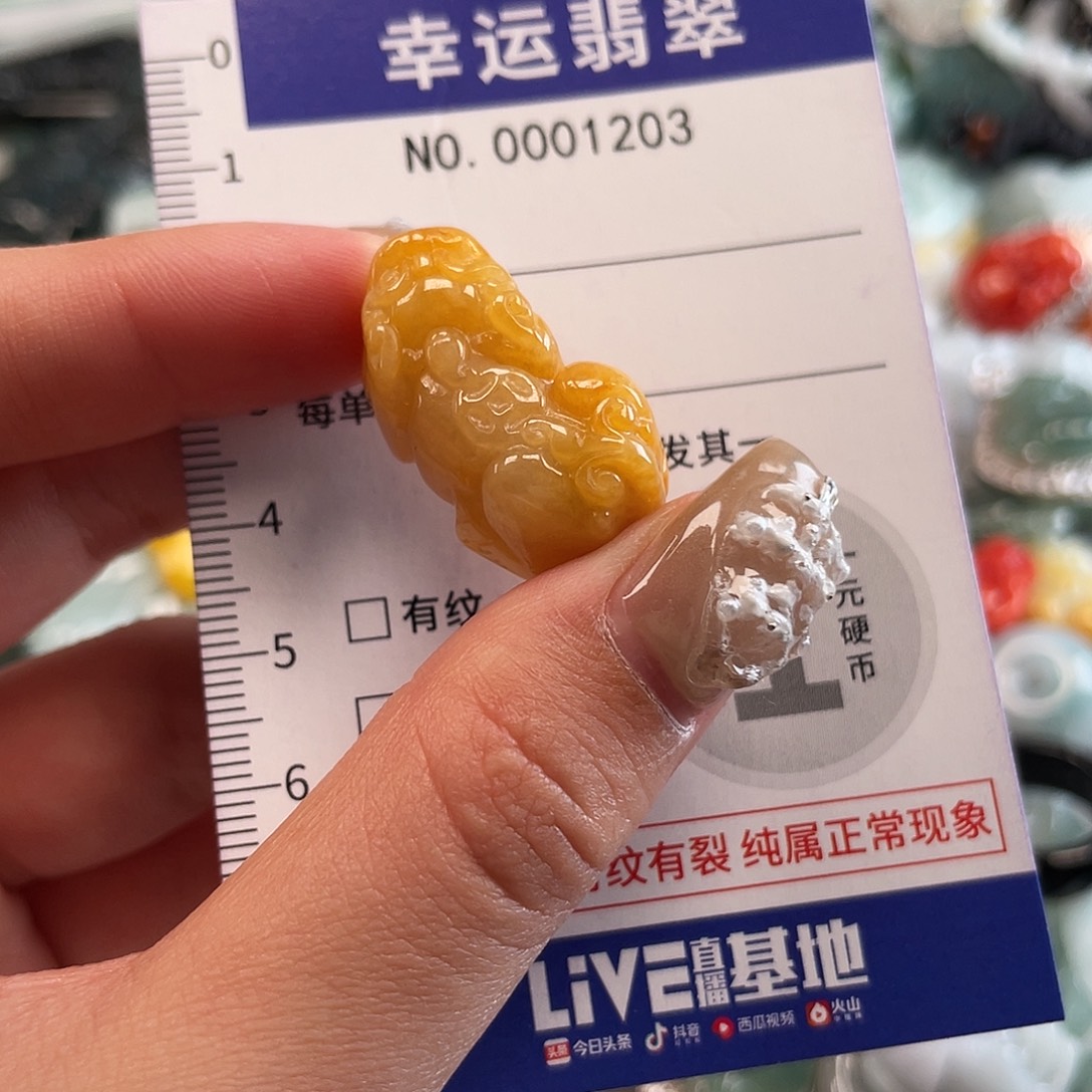 翡翠未镶嵌颈饰1203