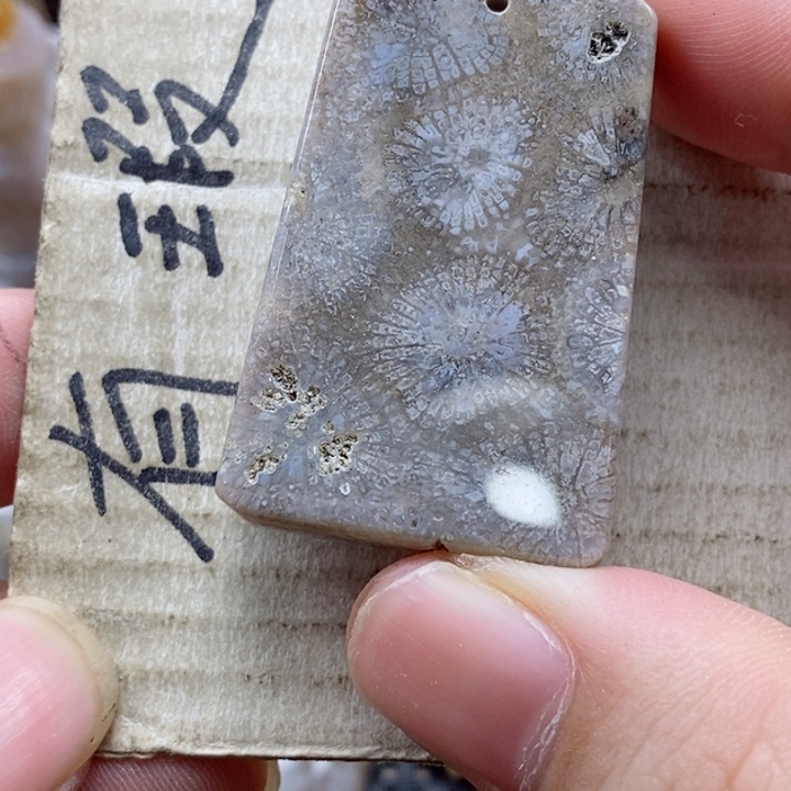 硅化珊瑚（珊瑚玉）颈饰未镶嵌