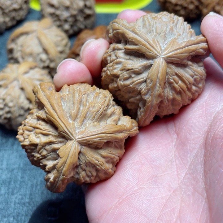 工艺三棱白狮子三棱