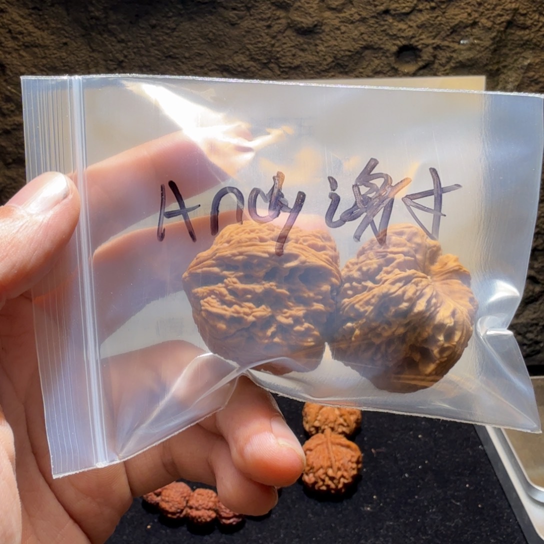 A***灬吊坠文玩核桃南疆石