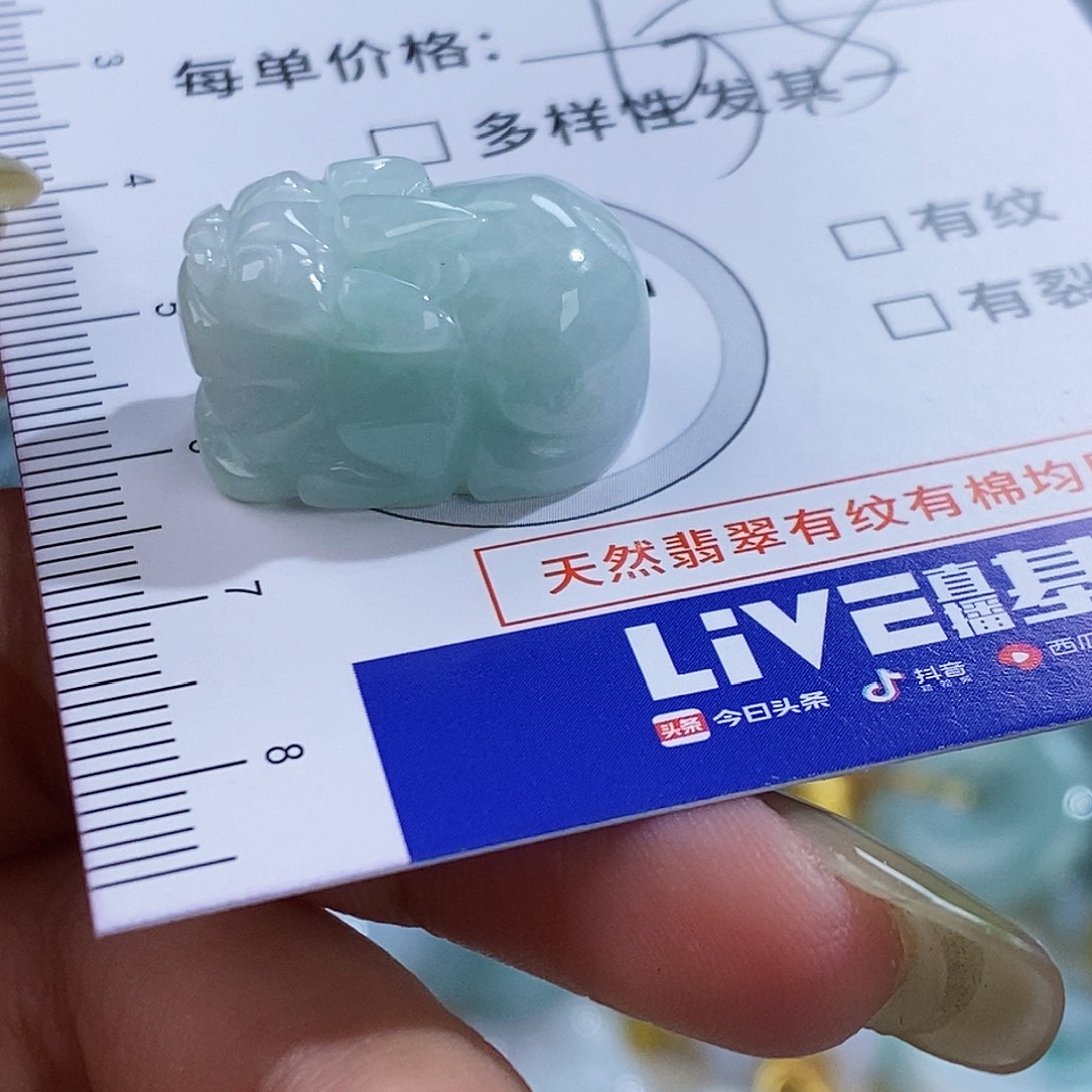 翡翠未镶嵌颈饰6171