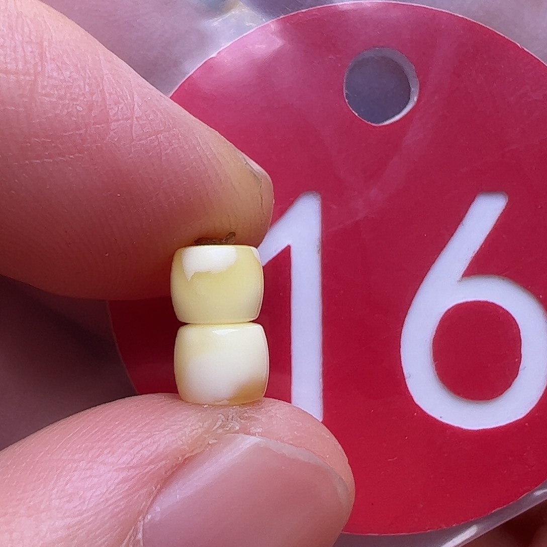 蜜蜡未镶嵌珠宝奇石5m m