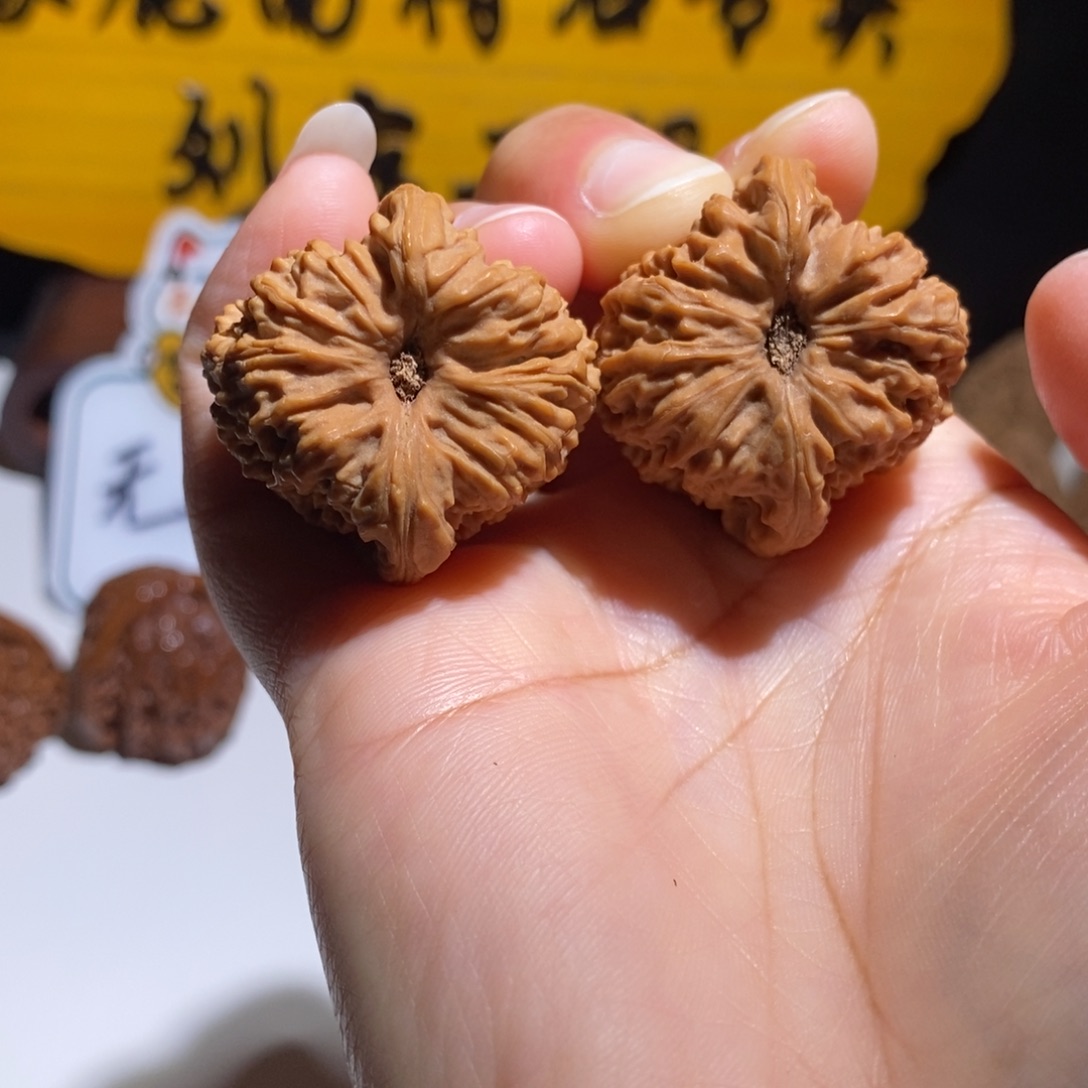 五***）大叶紫檀（黑酸枝木类）