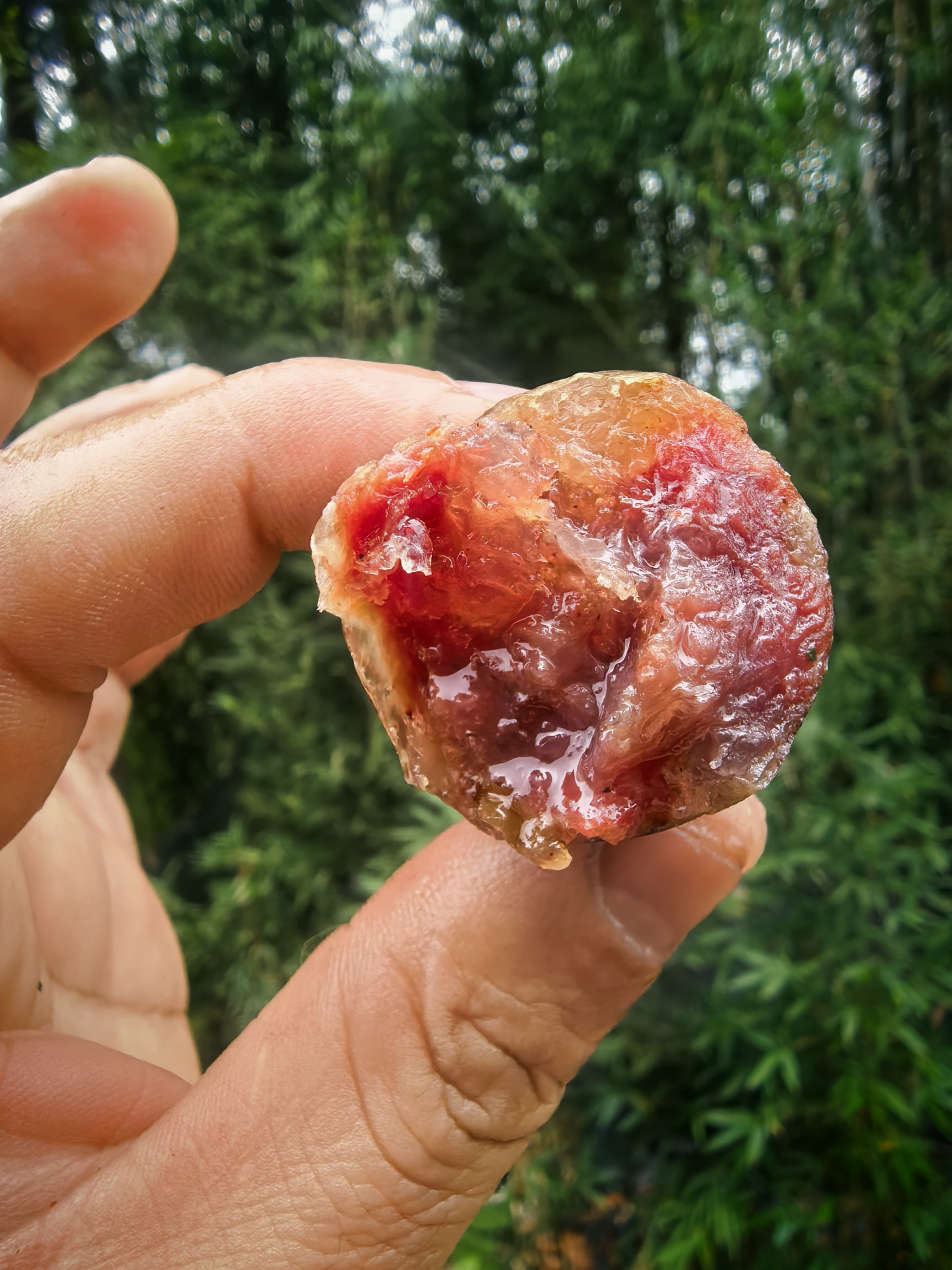 【3号链接称重】农村粮食猪前夹肉纯手工烟熏香肠