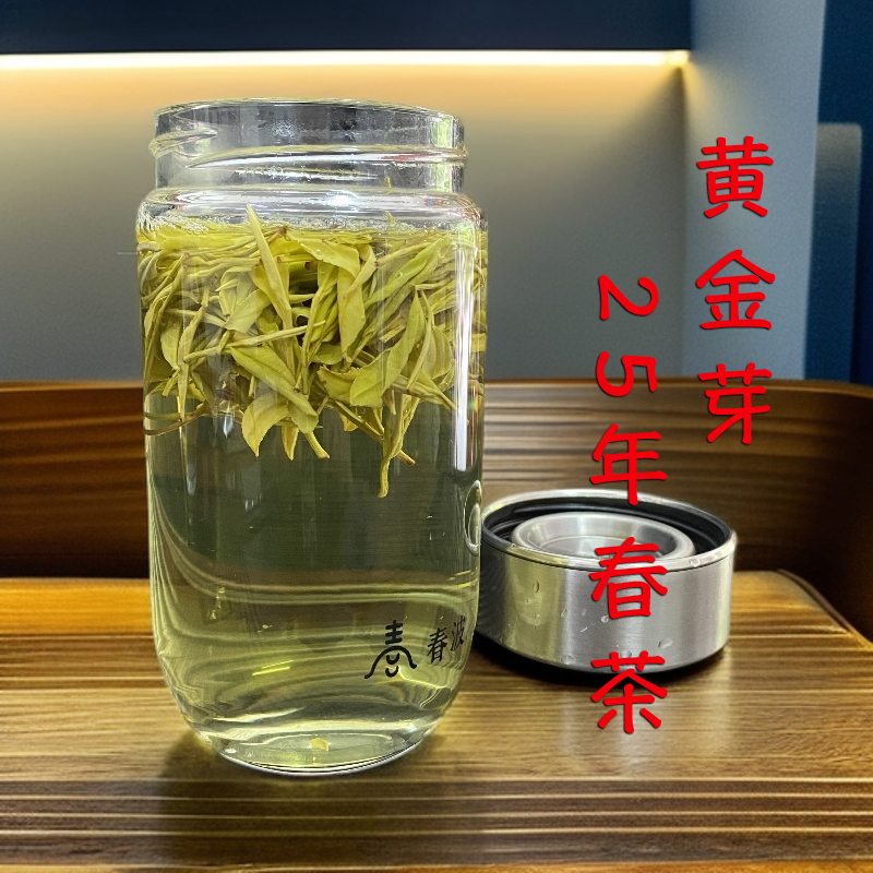 黄金芽2025年新茶安吉原产地老品种自己喝高山茶叶浓香