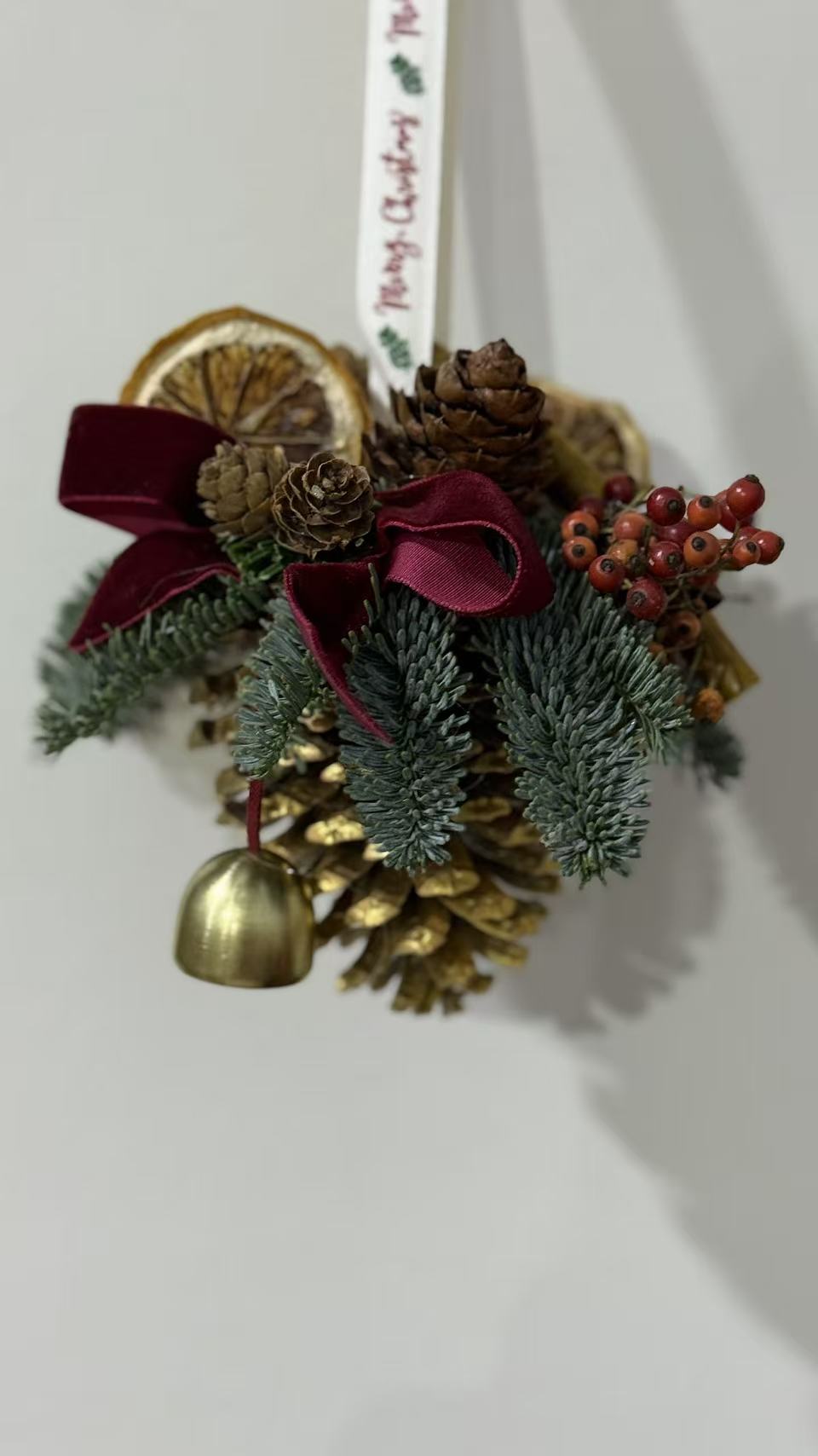 圣诞节适用进口诺贝松松果 室内观赏性花材