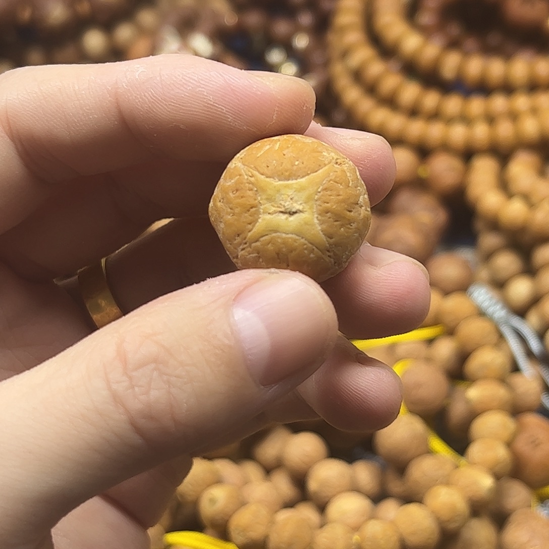 小***鱼凤眼菩提吊坠麒麟单颗22