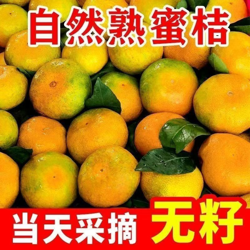 【精品礼盒包装】四川高山蜜橘现摘现发无核无渣应季水果