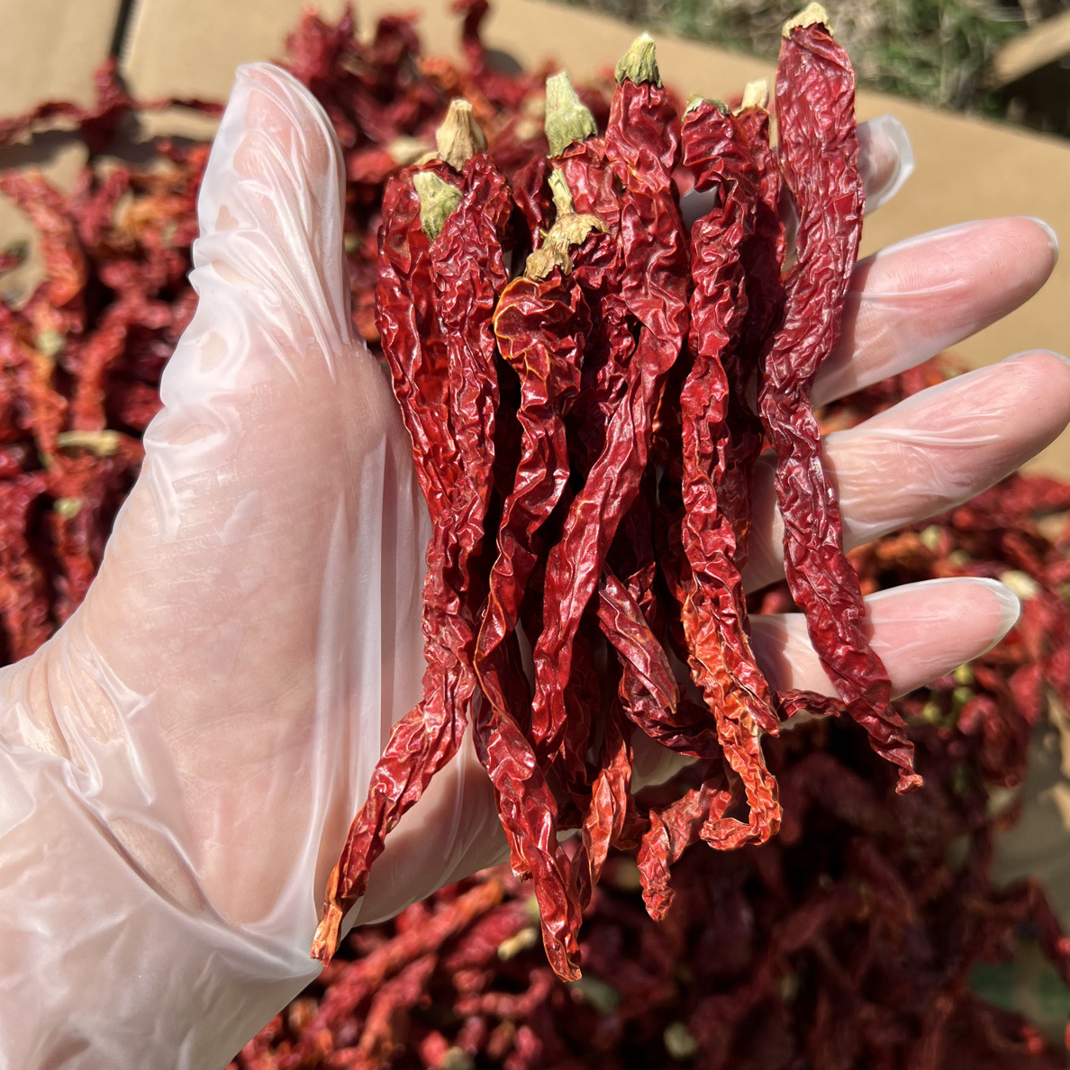湖南整条干红辣椒.农家自晒.只烘干无任何添加