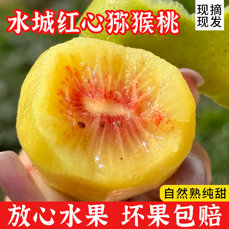 正宗贵州六盘水水城红心猕猴桃产地直销应季新鲜水果孕妇现摘现发