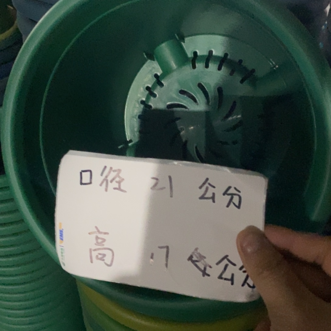 特价3号10个无拖祖母绿