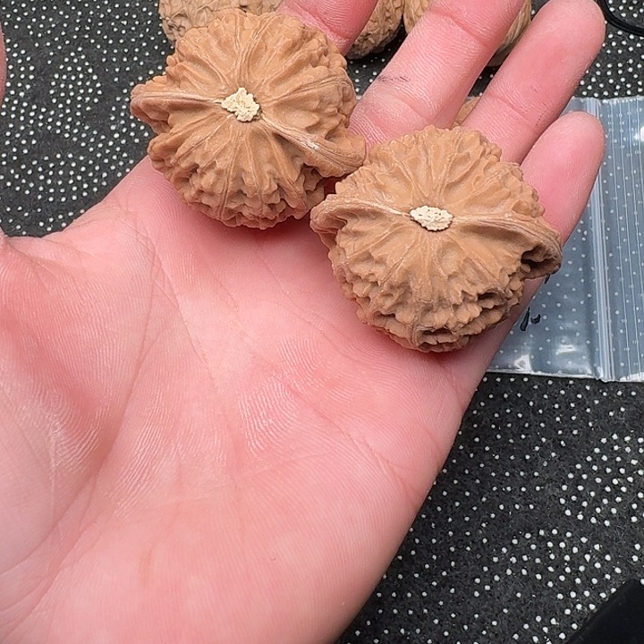 吊坠文玩核桃哈哈哈哈哈哈嘎嘎嘎