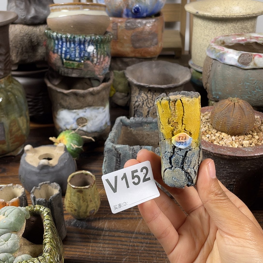 默认微次 限时福利 坛子姐花盆