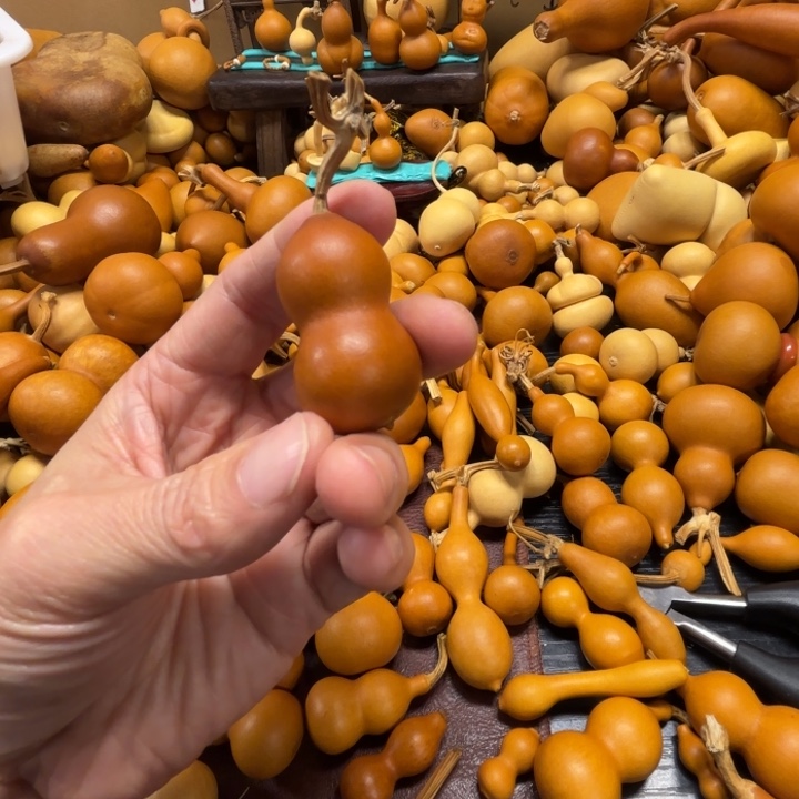 隔**钟萧山文中的一把紫皮葫芦