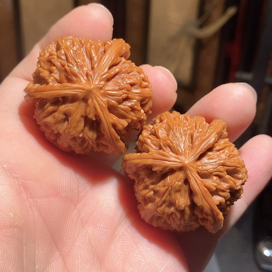 文玩核桃把件40白奔