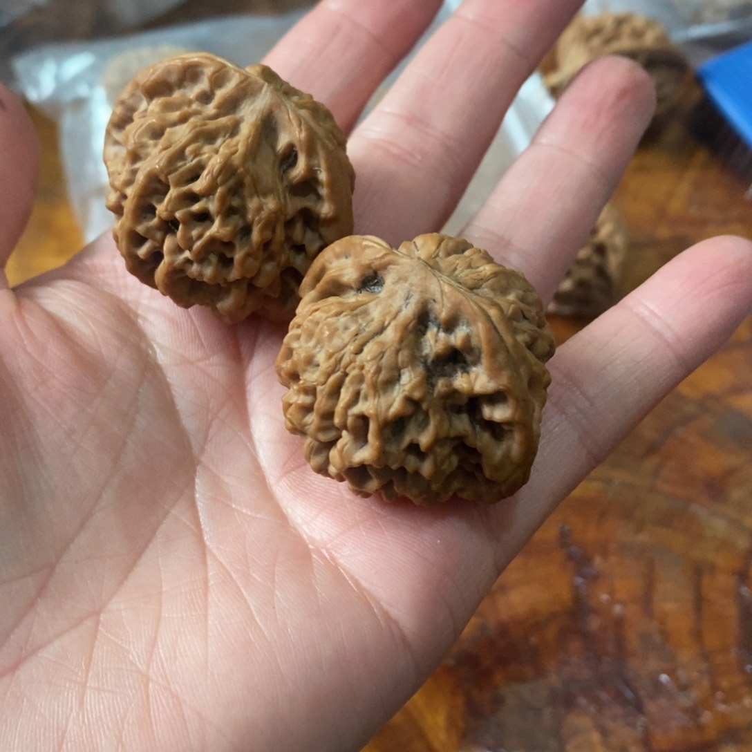 秦岭野生核桃秦闷