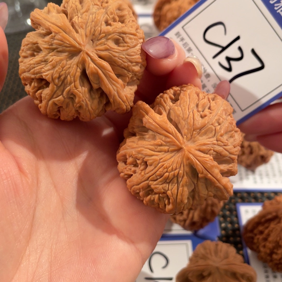 把件文玩核桃C137号大粗筋4.8