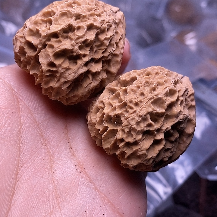 文玩核桃把件    109