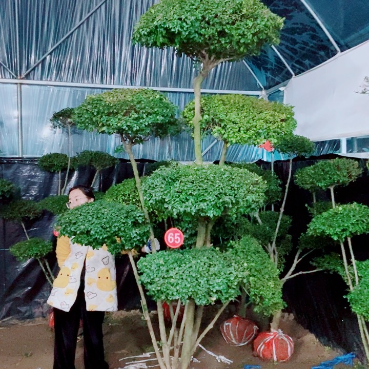 一物一拍一物一拍