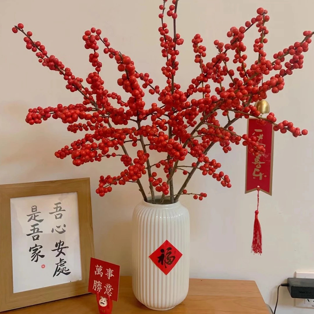 （新人福利）云南基地北美冬青水养时间年宵花花期长