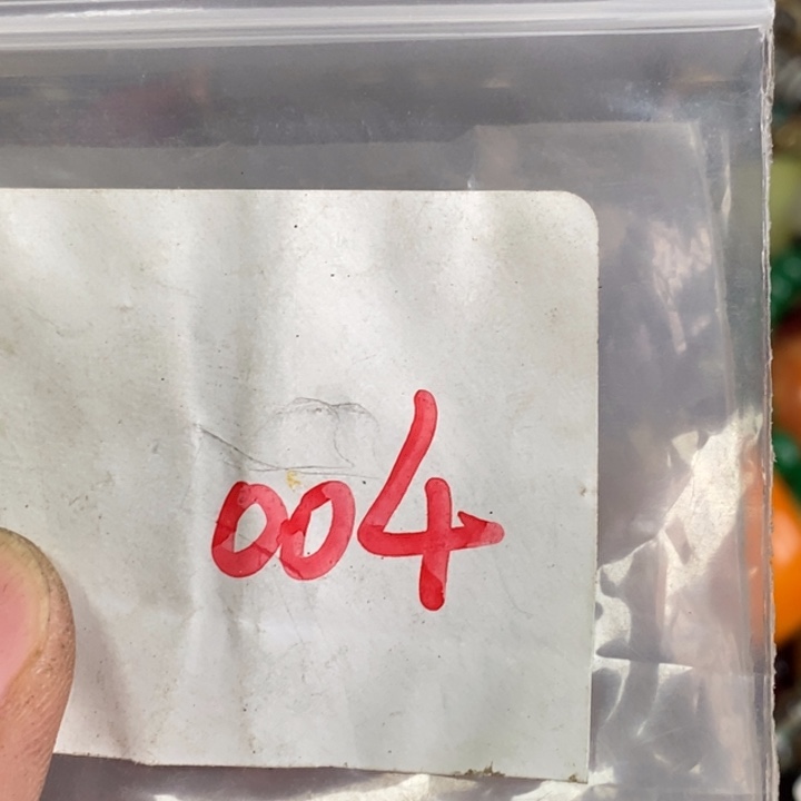 吊坠龙脊菩提手****1