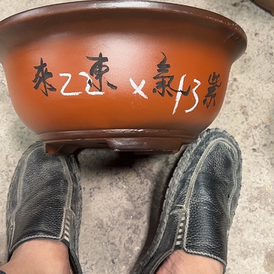 紫砂工艺厂……紫砂工艺厂……