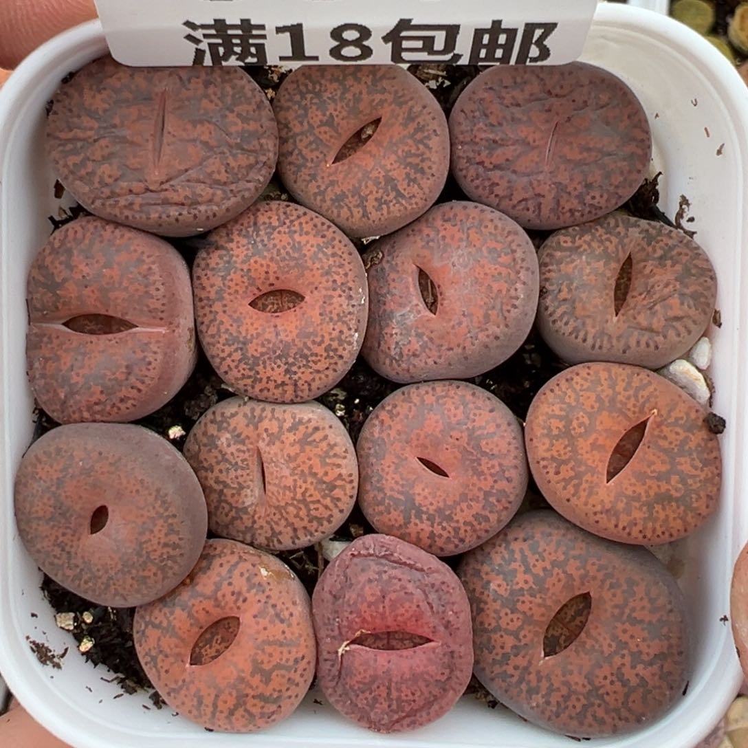 【闪购商品】886….