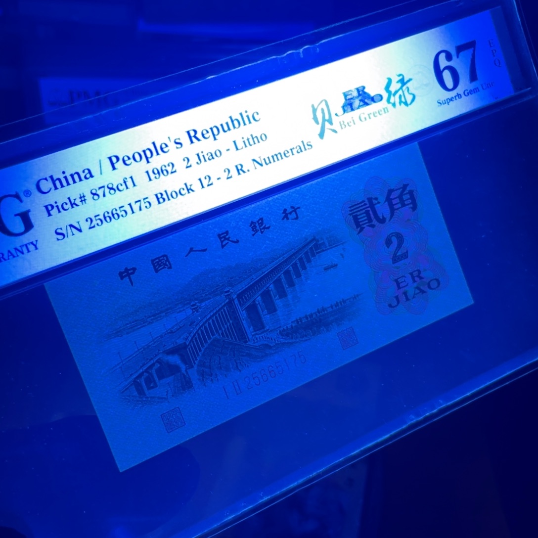 大桥贝绿一张一张