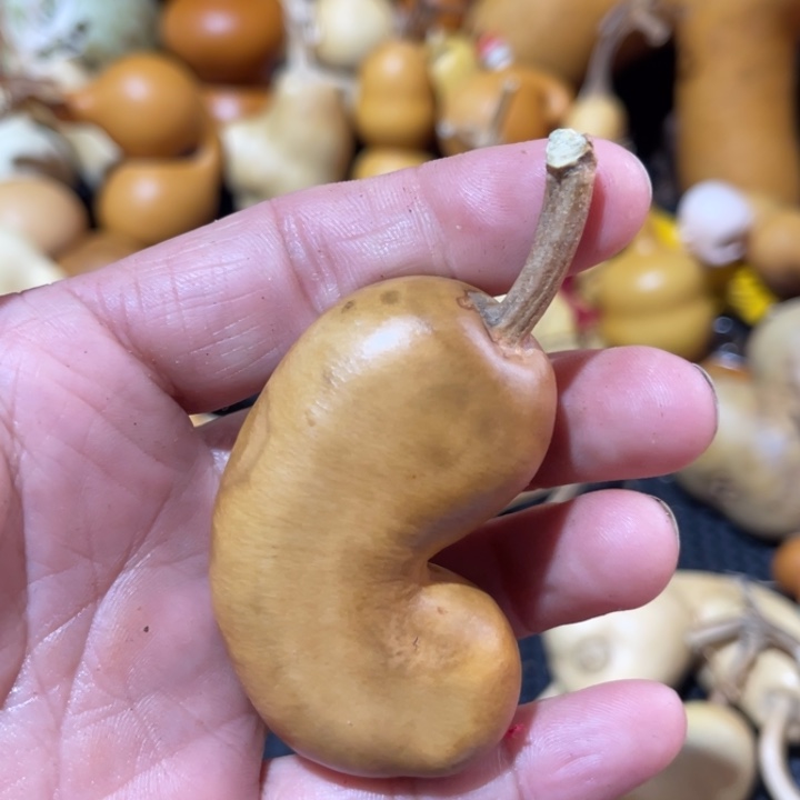 河***心葫芦哈哈哈哈哈哈哈哈