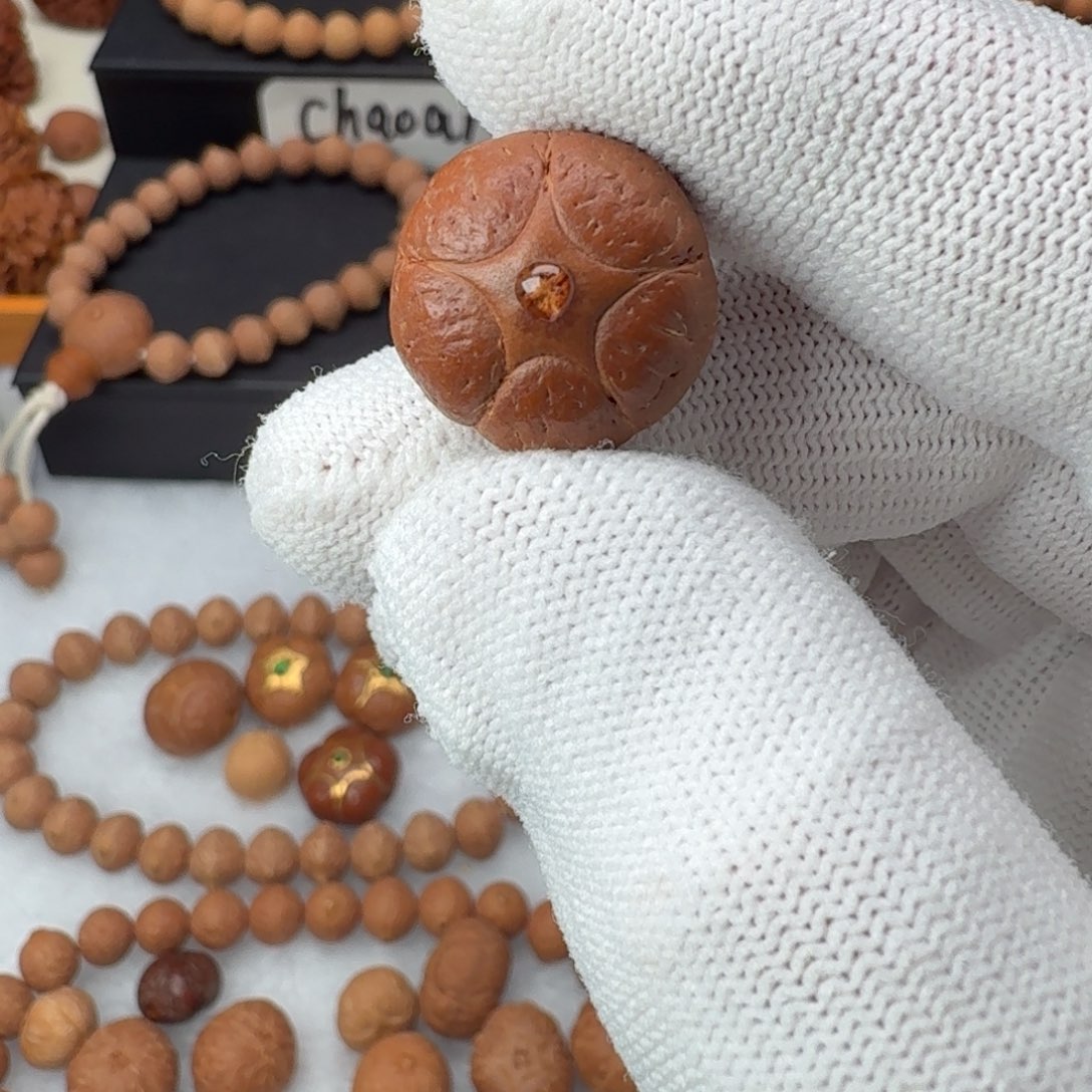 凤眼菩提吊坠树王五星