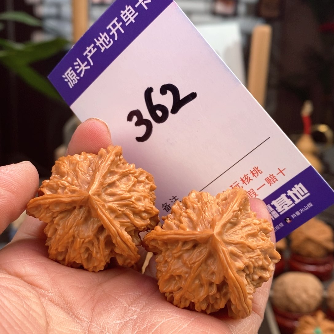 文玩核桃把件37手盘天然盘山正奔362号