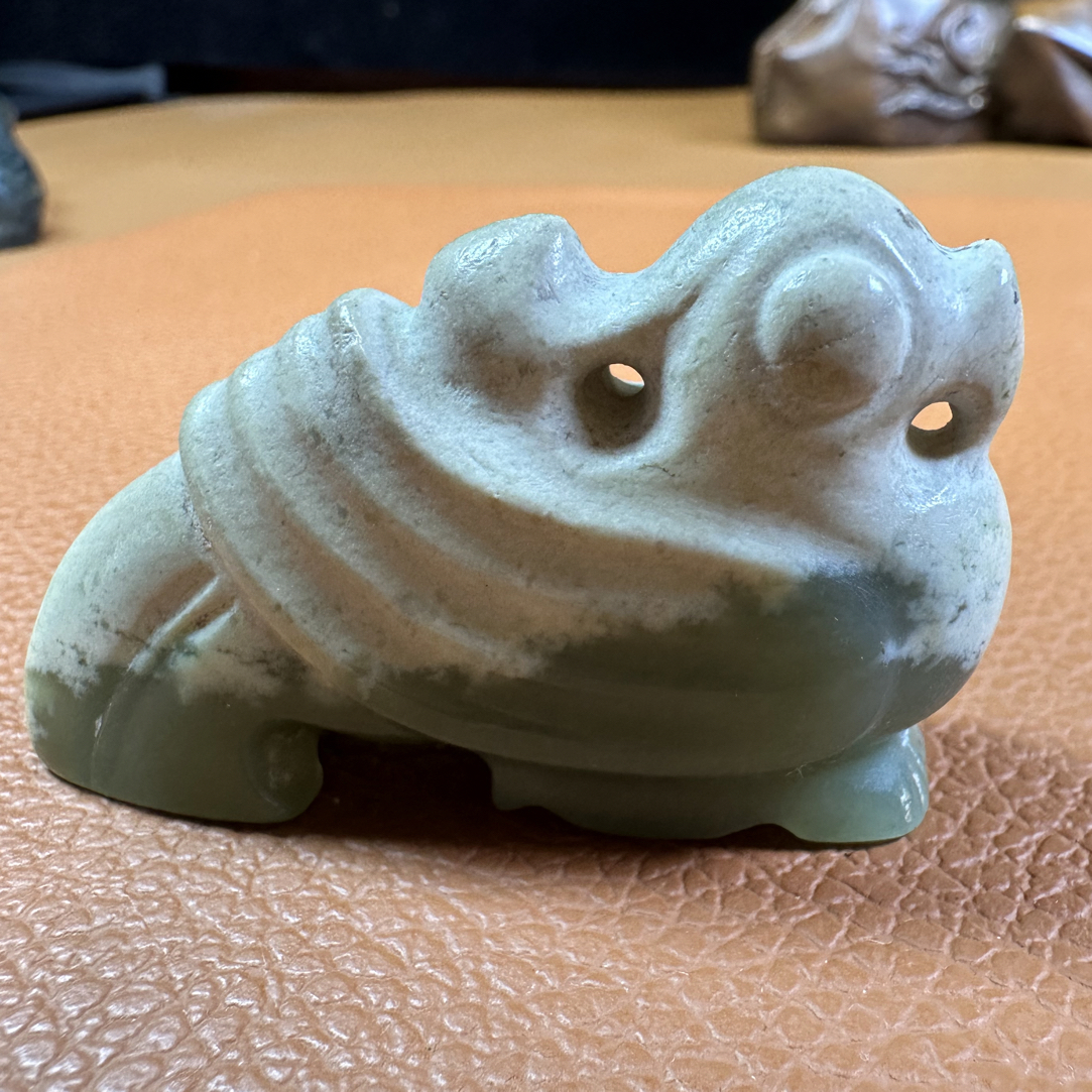 断树林白皮老玉鸟