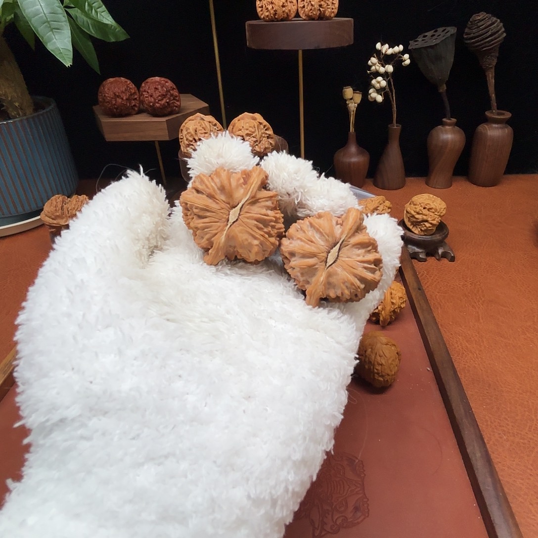 手串/手链核桃全品白狮子