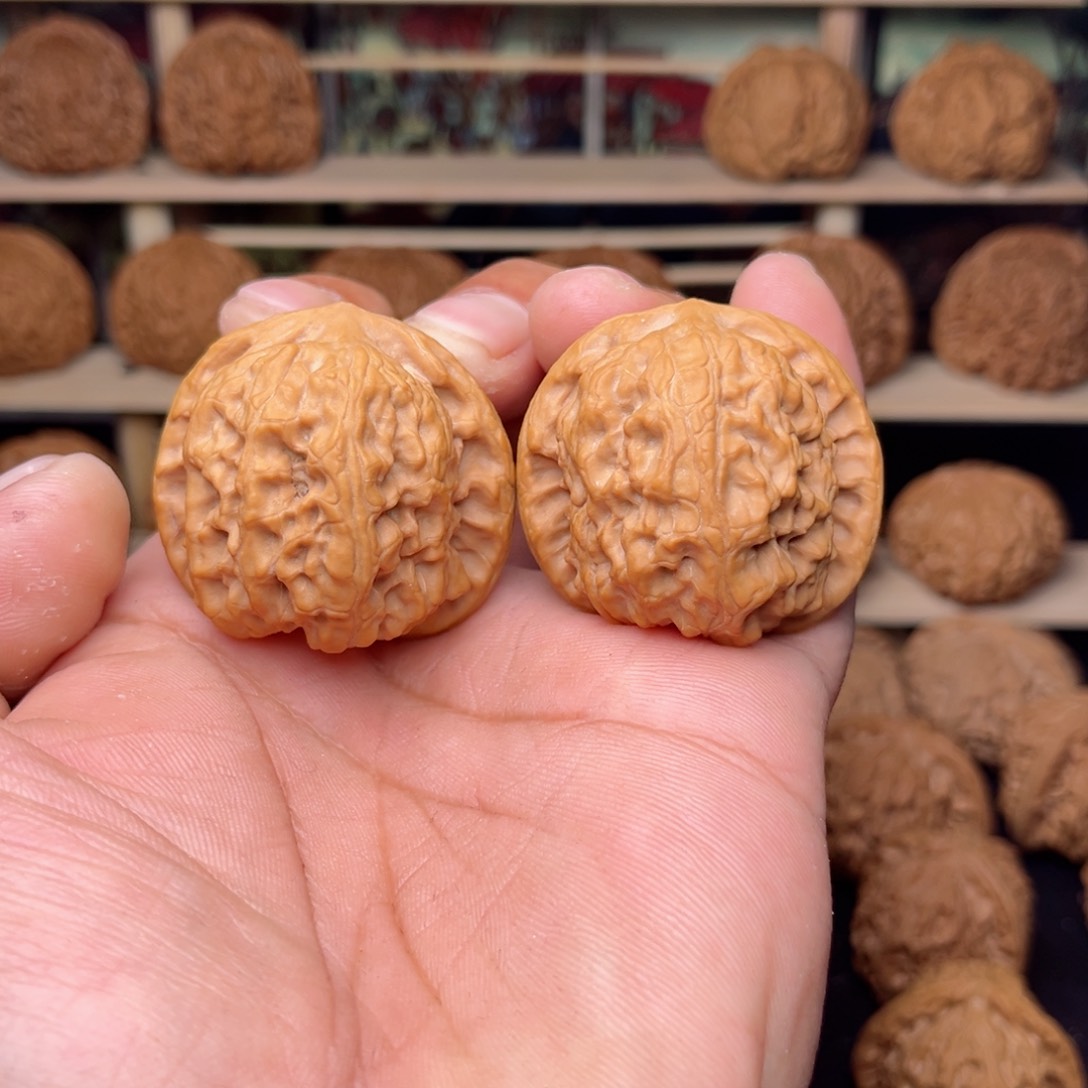 文玩核桃把件文玩核桃把件40尺野狼