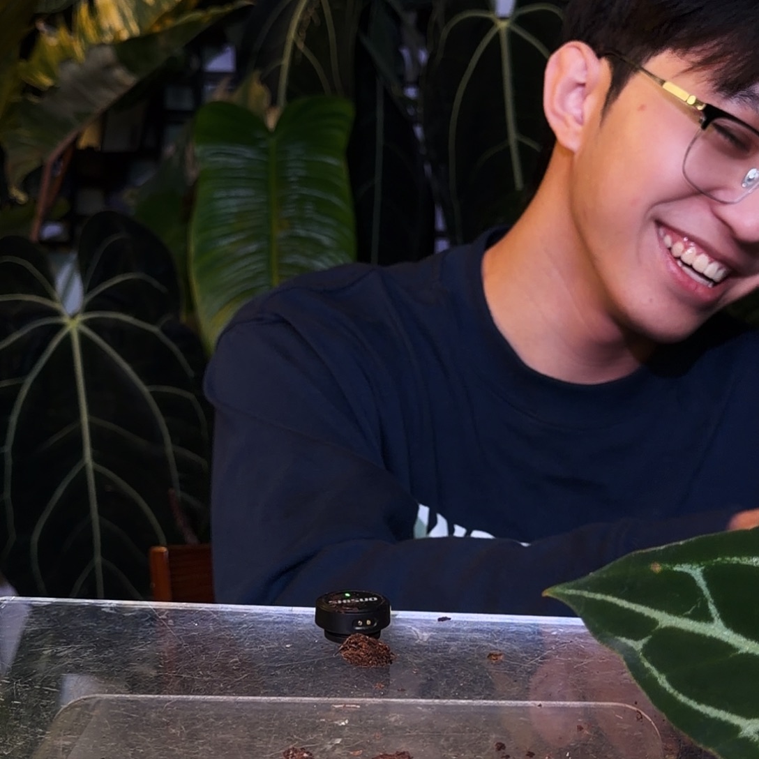 完全开放S200 巧克力