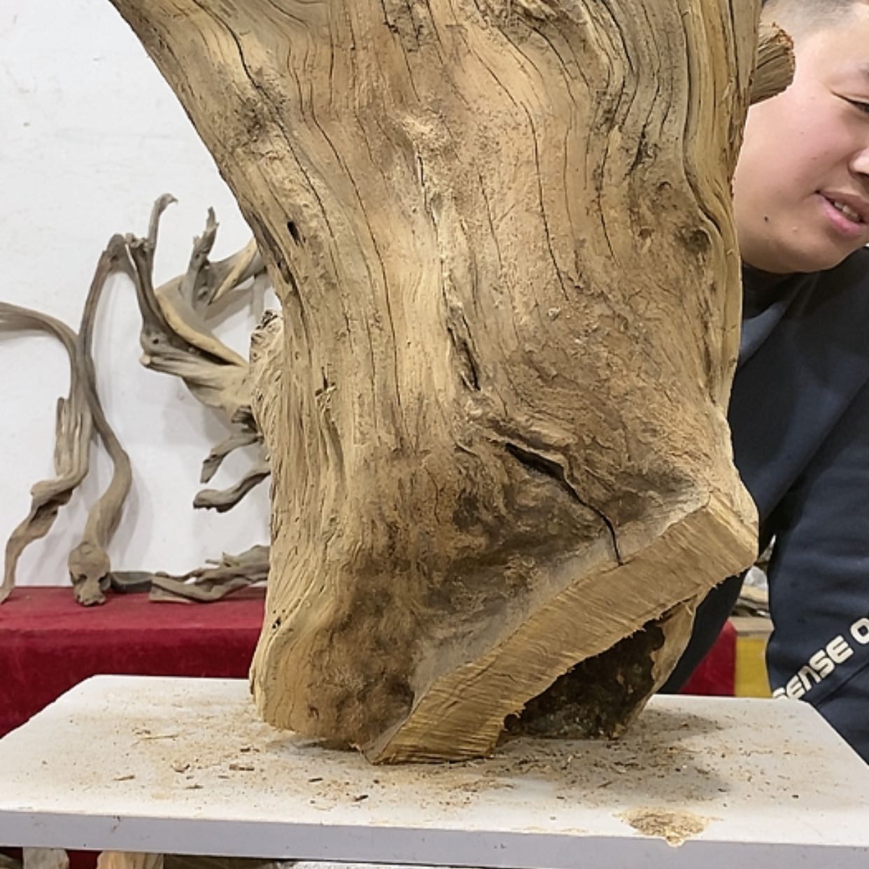 【闪购商品】柏木展****）我们都是好孩子