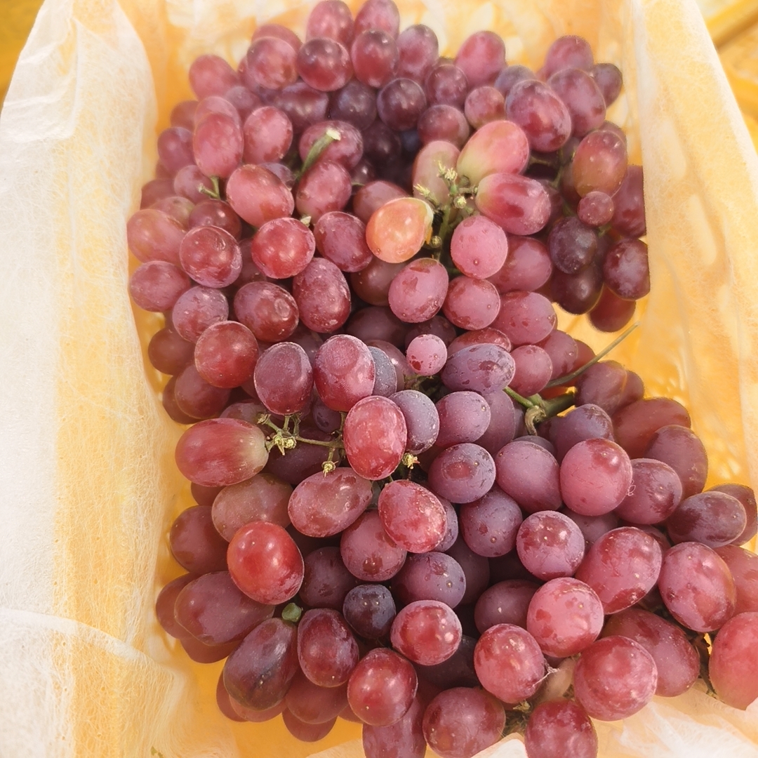 新疆克伦生葡萄3.5斤一箱新疆维吾尔自治区