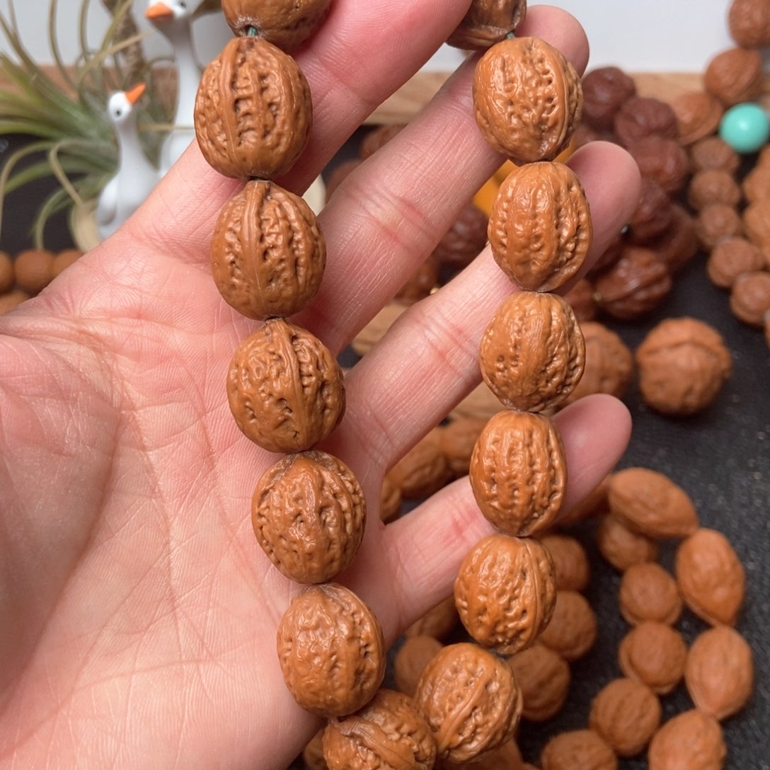 野生小秋子核桃粗筋枣庄17尺