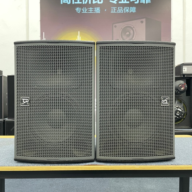 9新  贝塔3十寸专业音箱一对（9新）