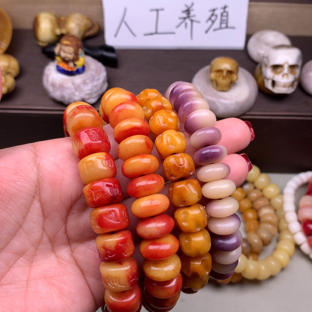 驼骨其他薛****易好看驼骨