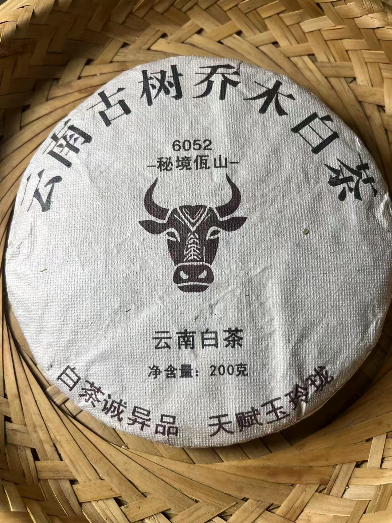 云南古树乔木白茶