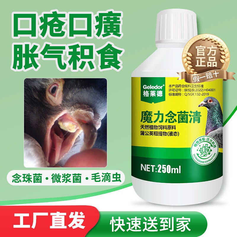 格莱德鸽药魔力念菌清赛信鸽子毛滴虫念珠菌微浆菌口癀嗉囊胀气药