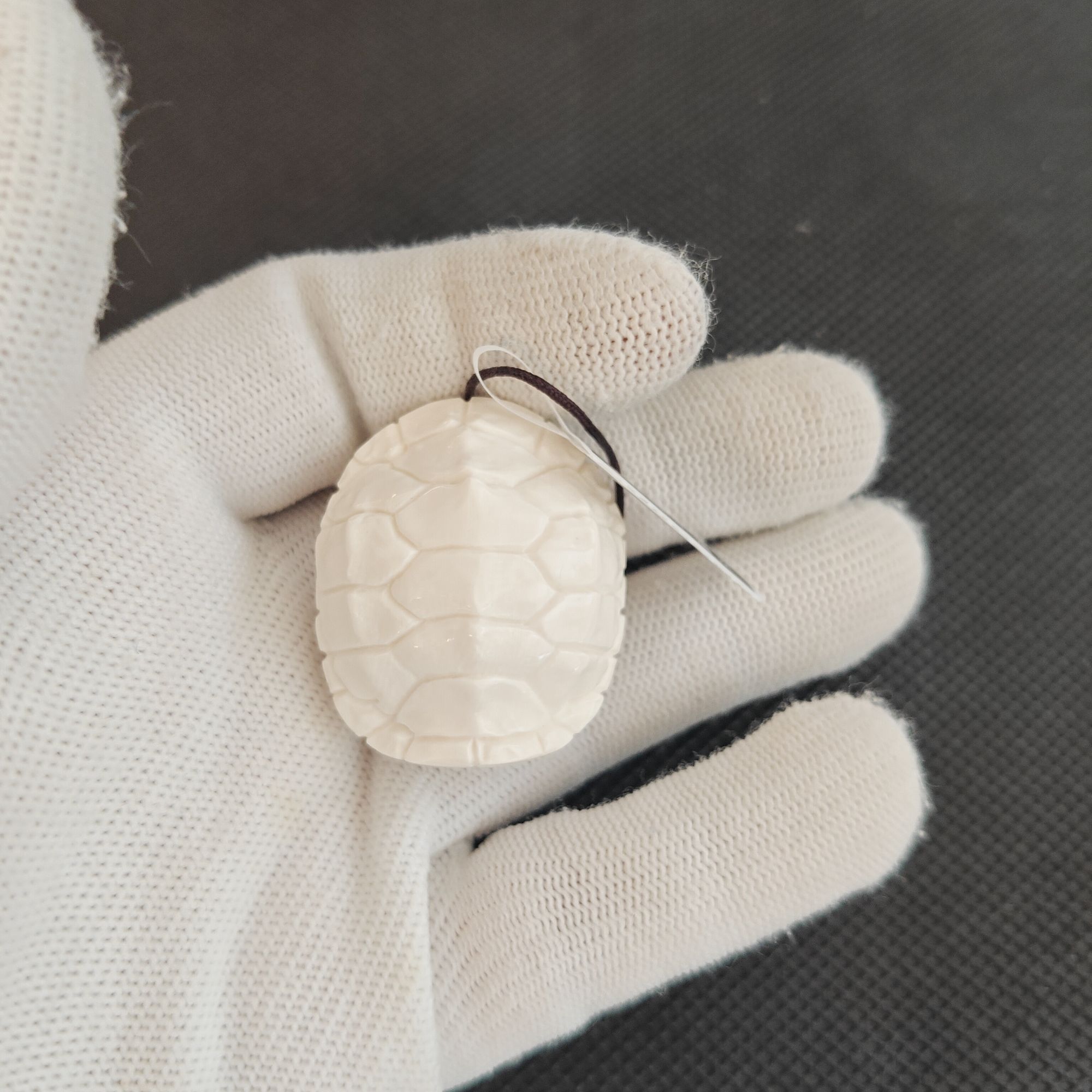 G00109 猛犸牙龟壳工艺品