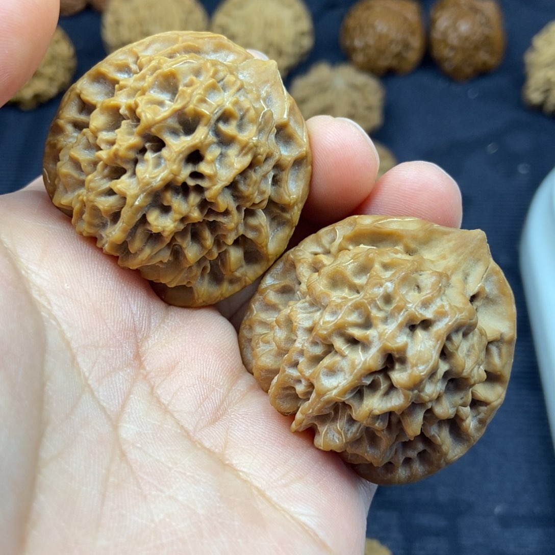 专**剑秦岭核桃秦闷有色差1号链接11111