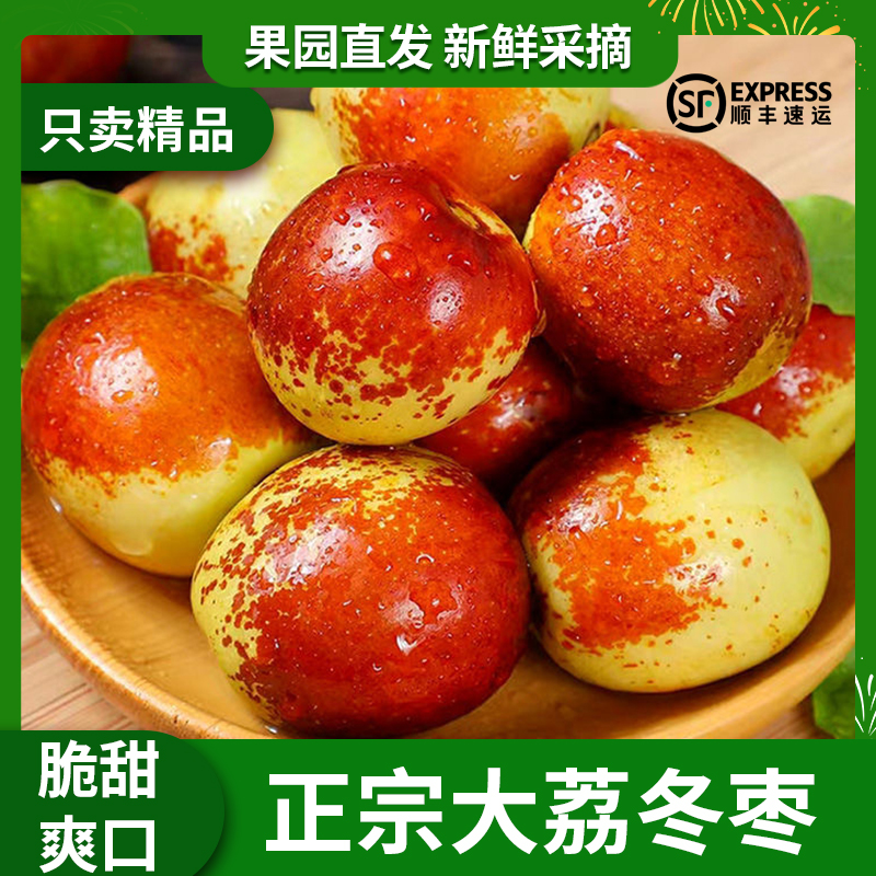 【顺丰包邮】中秋送礼正宗大荔冬枣新鲜甜脆现摘坏果包赔包邮3-10斤