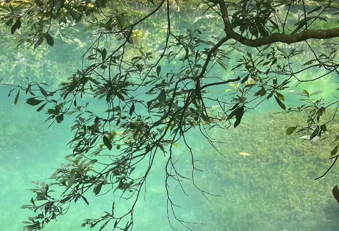 沉香JLG-01-070 红12 桶