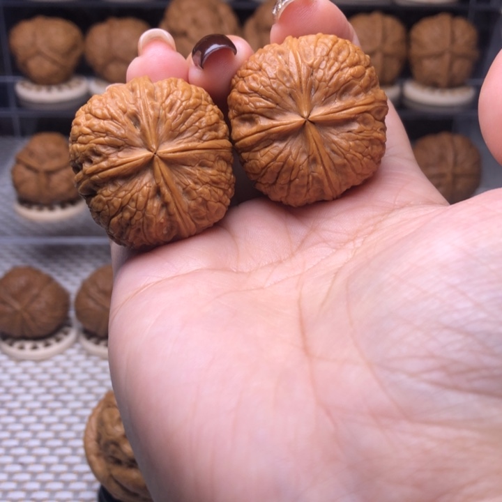 ⑥***把件文玩核桃1号状元红四楞